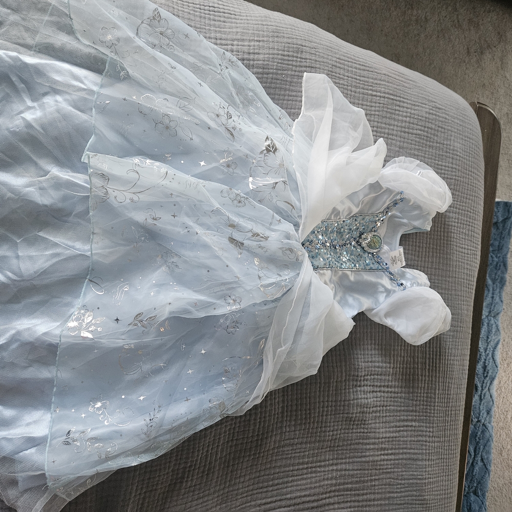 Disney Blue and Silver Princess Cinderella Costume